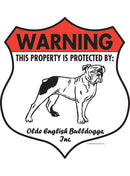 Olde English Bulldogge! Property is Protected Badge Sign or Sticker-1