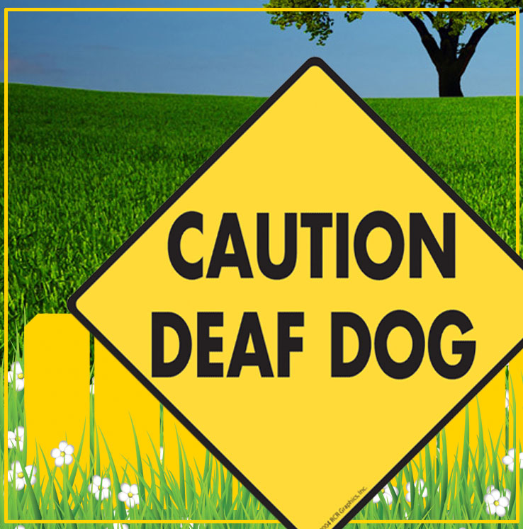Deaf dog Sign