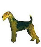 Airedale Terrier Full Color Vinyl Sticker