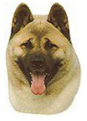 Akita Full Color Vinyl Sticker