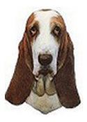 Basset Hound Full Color Vinyl Sticker