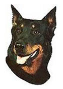 Beauceron Stickers