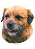 Border Terrier Full Color Vinyl Sticker