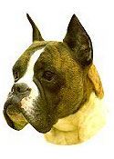 Boxer Cropped Ears Stickers
