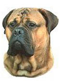 Bullmastiff Stickers