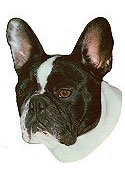 French Bulldog (Frenchie) Stickers