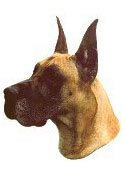 Great Dane Stickers