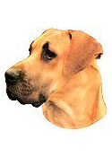 Great Dane with Natural Ears Full Color Vinyl Sticker
