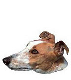 Greyhound Stickers