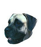 Mastiff Stickers