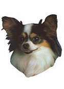 Papillon Stickers