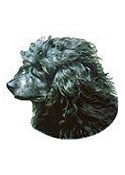 Portuguese Water Dog Full Color Vinyl Sticker