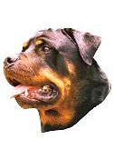 Rottweiler Stickers