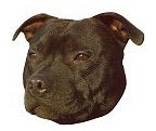 Black Staffordshire Bull Terrier Full Color Vinyl Sticker